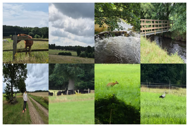 Die Harmonie von Landschaft und Bauten kann der Besucher nicht nur auf Marxens zentralem Platz bewundern. Der Waldfriedhof mit seiner Reetdach-Friedhofskapelle sucht seinesgleichen, und wer am Friedhof weiterläuft, gelangt in das ortsnahe Waldgebiet um den Süldsberg. Foto Collage
