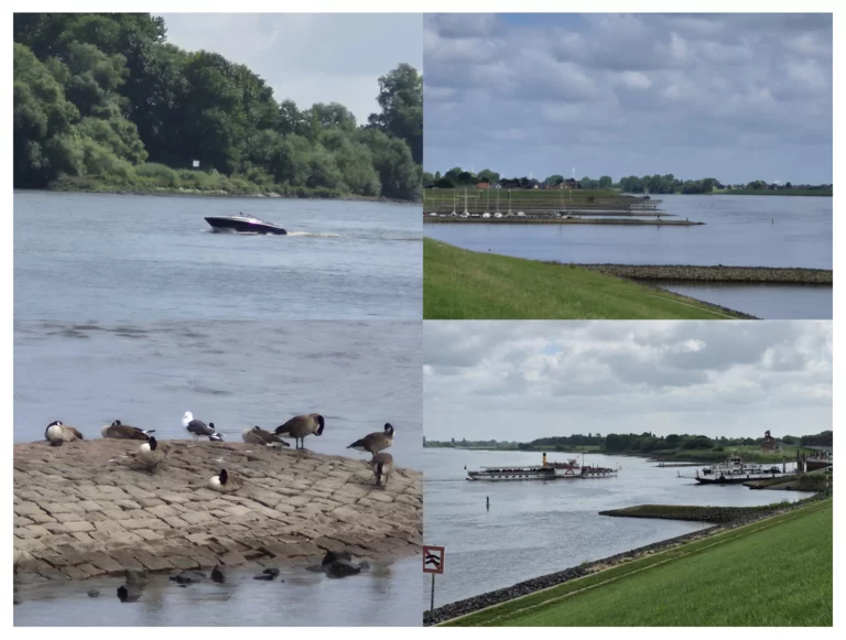 Hoopte ist ein Ortsteil der Stadt Winsen (Luhe) im Landkreis Harburg in Niedersachsen und liegt am äußersten nordwestlichen Rand der Stadt, direkt an der Elbe, die hier die Landesgrenze zu Hamburg bildet. An der heutigen Fährverbindung zwischen Hoopte und Zollenspieker existierte seit mindestens 1260 eine Furt über die Elbe, sodass der Ort verkehrsgünstig an einer Handelsstraße lag. Die erste urkundliche Erwähnung Hooptes geht auf das Jahr 1291 zurück. In Schriftstücken aus dem 12. Jahrhundert wurde die Gegend noch als „von jeher unbewohnbar und unbebaubar“ beschrieben.